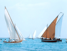 "Circuito Vela Latina" : gare, sfilate ed eventi